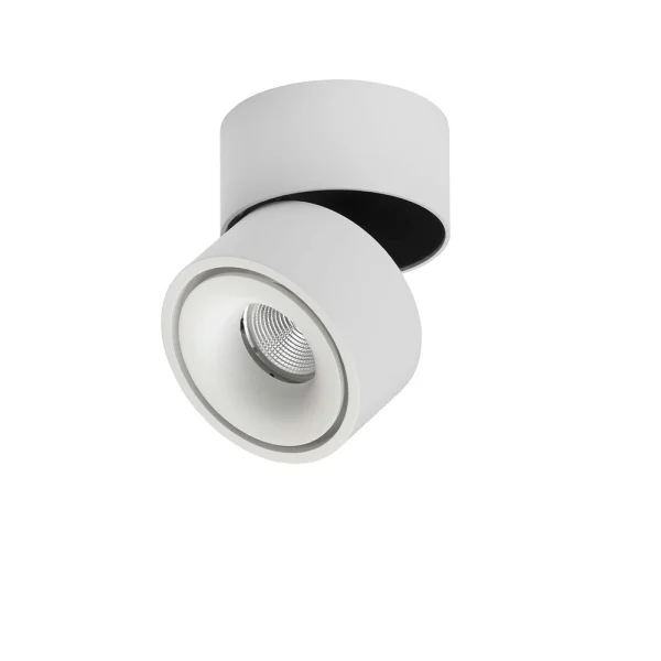 ANTIDARK - Easy W100 LED Spot monté en surface 1800-2700K DTW White