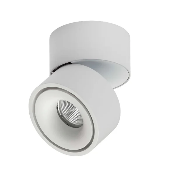 ANTIDARK - Easy W100 LED Spot monté en surface 2700K High Power White