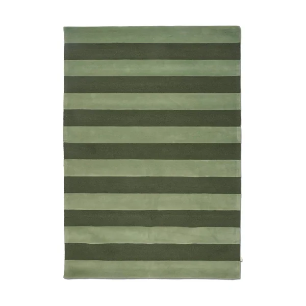 Classic Collection Tapis Stripe Boucle Green, 170x230 cm