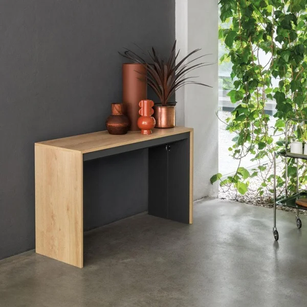 Console Leonardo Pezzani