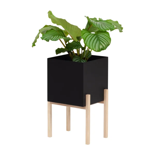 Design House Stockholm Cache-pot Botanic pedestal Noir-frêne