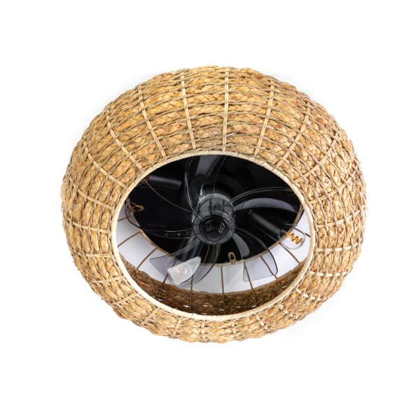 ETH Fan No. 8 - ventilateur de plafond avec télécommande - Ø 48 cm - marron