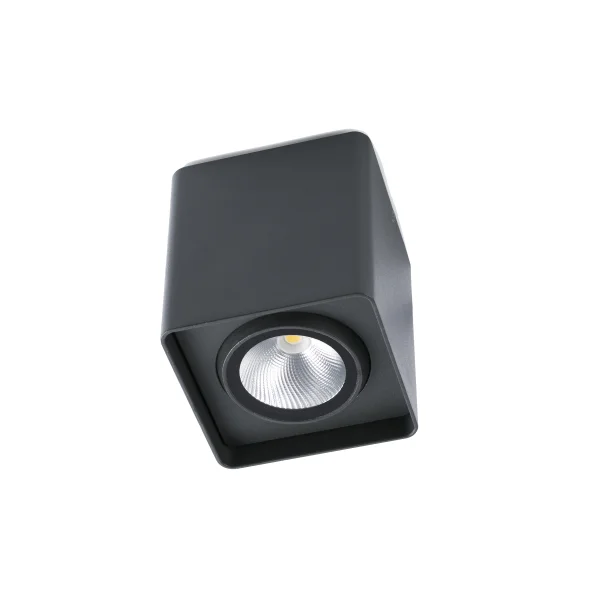 Faro Tami - spot en saillie 1L - 9 x 9 x 10 cm - 9W LED inclus - IP54 - gris foncé