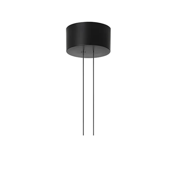 Flos Arrangement Rose coupelle de plafond Black, big