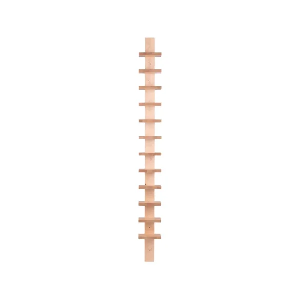 Källemo Étagère murale Pilaster Bouleau verni naturel