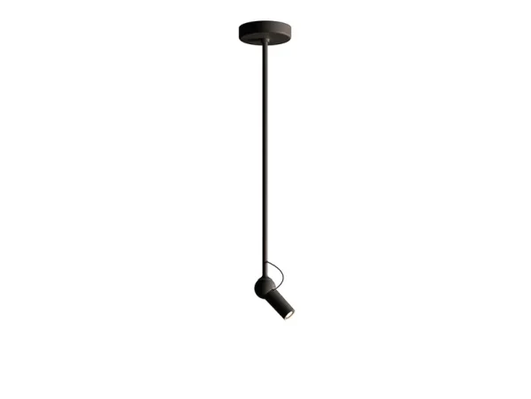 KDLN - Bird Applique Murale/Plafonnier w/2 Rod H3,5+H20,5 Black