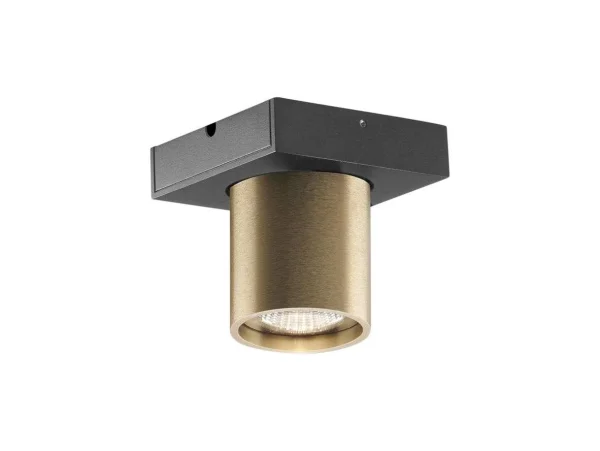 Light Point - Focus Mini 1 LED Plafonnier 3000K Brass