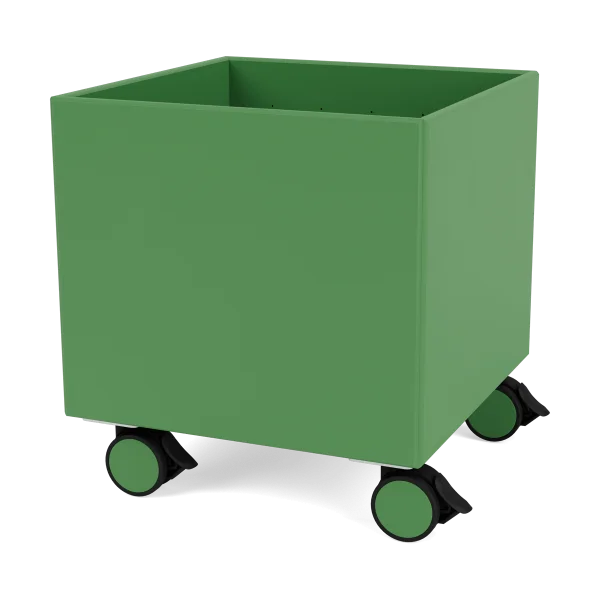 Montana Colour Box I – S6161 Parsley