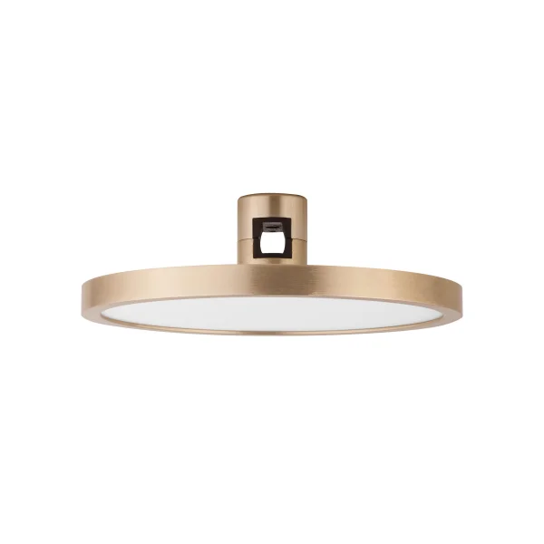 Nova Luce Art - light point système de rail magnétique - Ø 16 x 5 cm - 15W LED inclus - or satiné