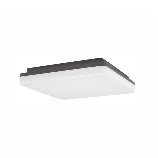 Nova Luce Tommy - plafonnier d'extérieur - 28 x 28 x 6 cm - 24W LED inclus - IP54 - gris foncé et blanc
