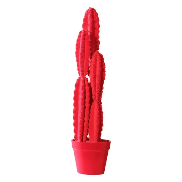 Objet décoratif Cactus 66 Adriani e Rossi