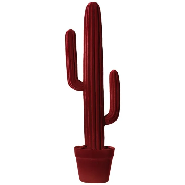Objet décoratif Cactus 68 Adriani e Rossi