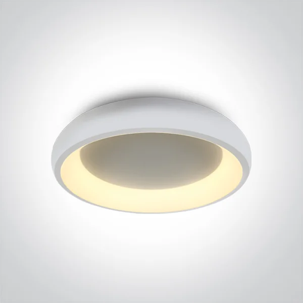 ONE Light LED Décoratif - plafonnier - Ø 40 x 8,5 cm - 30W LED inclus - blanc - couleur de lumière réglable