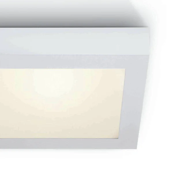 ONE Light LED Panel Plafo Square - plafonnier - 30 x 30 x 3,9 cm - 30W LED inclus - IP40 - blanc - couleur de lumière blanche