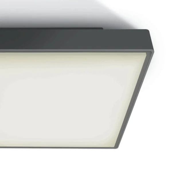 ONE Light LED Plafo Outdoor Square - plafonnier extérieur - 29,5 x 29,5 x 8 cm - 24W LED inclus - IP65 - anthracite