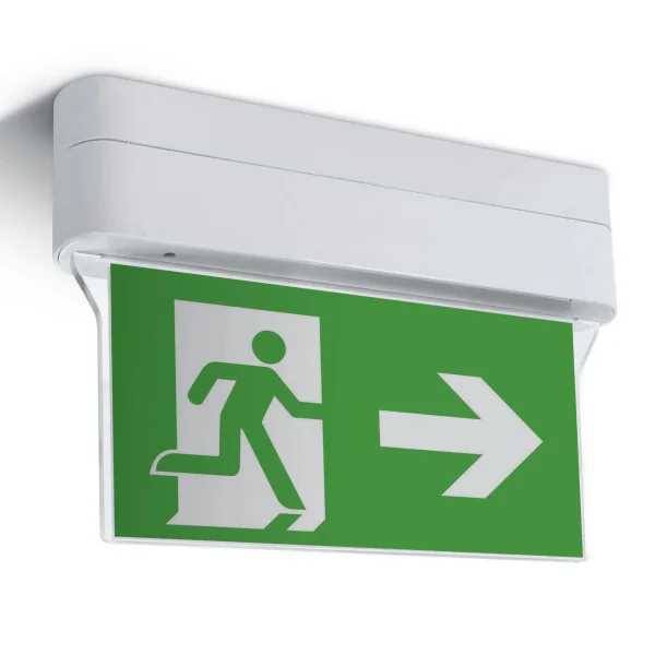 ONE Light Luminaire mural et de plafond de secours à LED Plexiglas - 30,5 x 20,5 cm - 1W LED inclus - IP44 - blanc