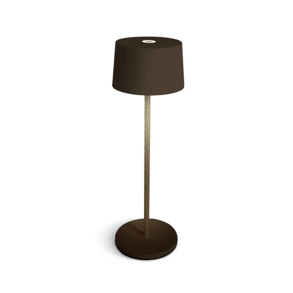 ONE Light Portable Trendy Light - lampe de table d'extérieur - rechargeable via câble USB - Ø 11 x 35 cm - 3,3W dimmable LED inclus - IP65 - brun rouille