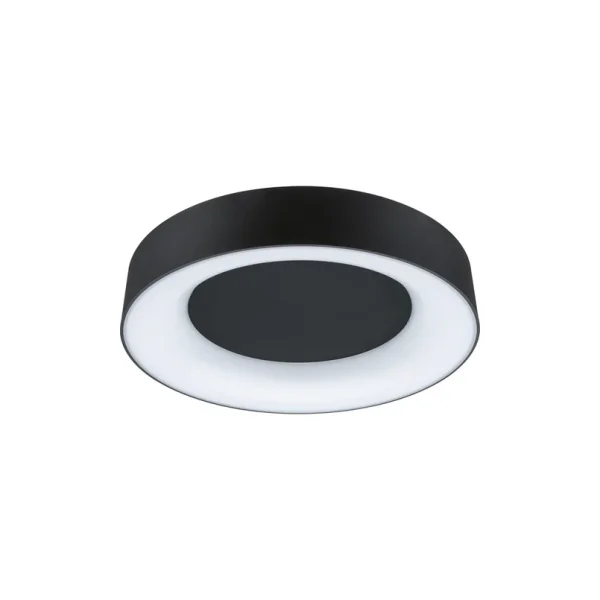 Paulmann - Casca plafonnier Ø40 IP44 noir mat