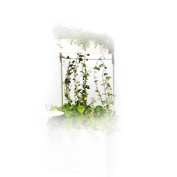 SMD Design Treillage Urban Blanc
