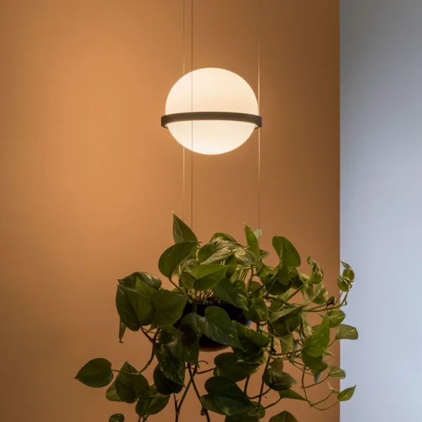 Vibia - Palma 3724 Suspension, jardinière, graphite